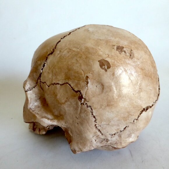 NEW ARTISAN HANDCRAFTED REALISTIC HUMAN SKULL HALLOWEEN PROP ODDITY - Picture 6 of 11